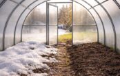 Sniegs ziemā siltumnīcā – vajadzīgs vai tas ir tikai kaitē