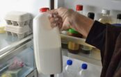 Kāpēc pienu nevajadzētu glabāt ledusskapja durvīs: kļūda, kuras dēļ tas bojājas daudz ātrāk