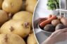 Kartupeļi neasnos līdz pat vasarai, ja tiem blakus noliek vienu produktu: vienkāršs un noderīgs knifs