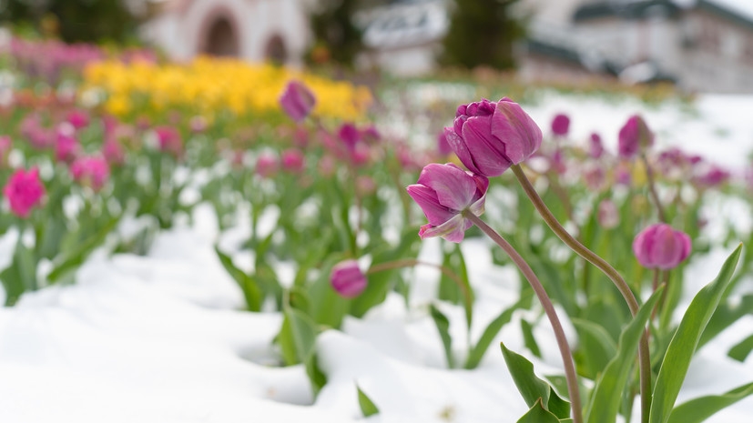 Siltums būs īslaicīgs – meteorologi prognozē ziemas apstākļu atgriešanos un nosauc tā datumu