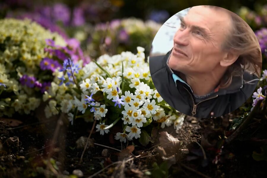 Dabas pētnieks Bukšs stāsta vai Latvijā februāra izskaņā jutīsim pavasara pirmos vēstnešus: “Viss sāksies 20.datumā”