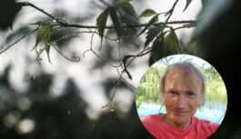 Ko zīmes dabā saka par 2026. gada vasaru – Viļa Bukša prognoze pēc pieredzētā sala viļņa