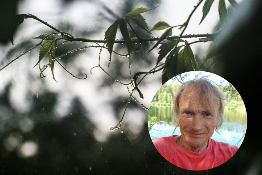 Ko zīmes dabā saka par 2026. gada vasaru – Viļa Bukša prognoze pēc pieredzētā sala viļņa