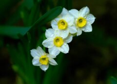 Pirmoreiz kopš 2004. gada: meteorologi atklāj, kādas krasas pārmaiņas mūs sagaida no 2. marta