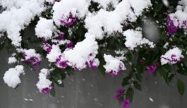 Marts mūs vēl pārsteigs: sinoptiķu prognozes liecina par neparastiem laikapstākļiem līdz pat septembrim