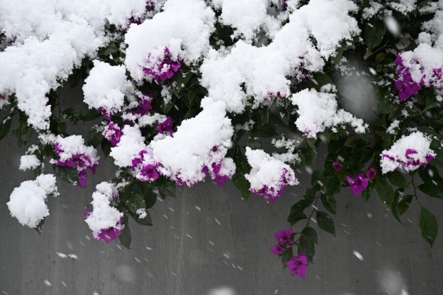 Marts mūs vēl pārsteigs: sinoptiķu prognozes liecina par neparastiem laikapstākļiem līdz pat septembrim