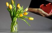 Rozes vai tomēr tulpes: ko patiesībā nozīmē ziedi, kurus saņem Valentīndienā
