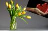 Rozes vai tomēr tulpes: ko patiesībā nozīmē ziedi, kurus saņem Valentīndienā