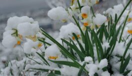 Spēcīgā februāra sniega vētra meteorologiem lika pārskatīt prognozes vēlreiz: “Ir pamatotas bažas par pavasari”