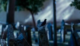 “Uz redzēšanos” šeit nesaka: senie ticējumi atklāj, kā pareizi pamest atdusas vietu, lai nepaņemtu līdzi lieko “Uz redzēšanos” šeit nesaka: senie ticējumi atklāj, kā pareizi pamest atdusas vietu, lai nepaņemtu līdzi lieko