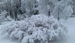 Gatavojiet lāpstas: strauji virzās ciklons, kurš sev līdzi nes sniega vētru; zināms, kur Latvijā visvairāk putinās