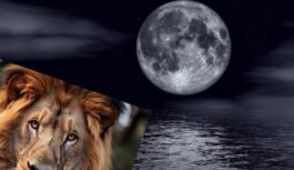 Īpašais 02.02.2026. pilnmēness: kāpēc šis datums tiek uzskatīts par unikālu un kā to izmantot savā labā