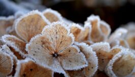 Kāpēc 5. februārī nevajadzētu tīrīt māju: sena māņticība, kas sola pasargāt no likstām