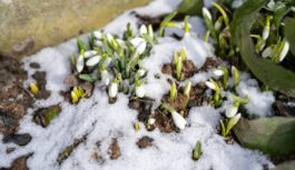 Sniega vētras vai pēkšņs atkusnis – februāra otrā nedēļa solās būt laikapstākļu ziņā unikāla