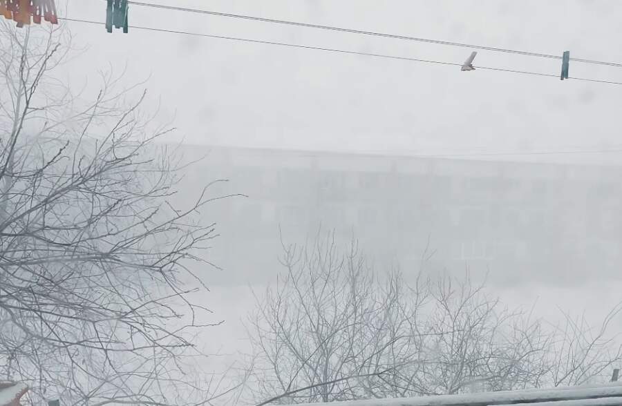 Sniega kupenas uz ceļa