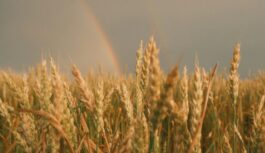 Sinoptiķi ir pārskatījuši ilgtermiņa prognozi vasarai: “Redzam to, ka vasara var pienākt jau maijā” Sinoptiķi ir pārskatījuši ilgtermiņa prognozi vasarai: “Redzam to, ka vasara var pienākt jau maijā”