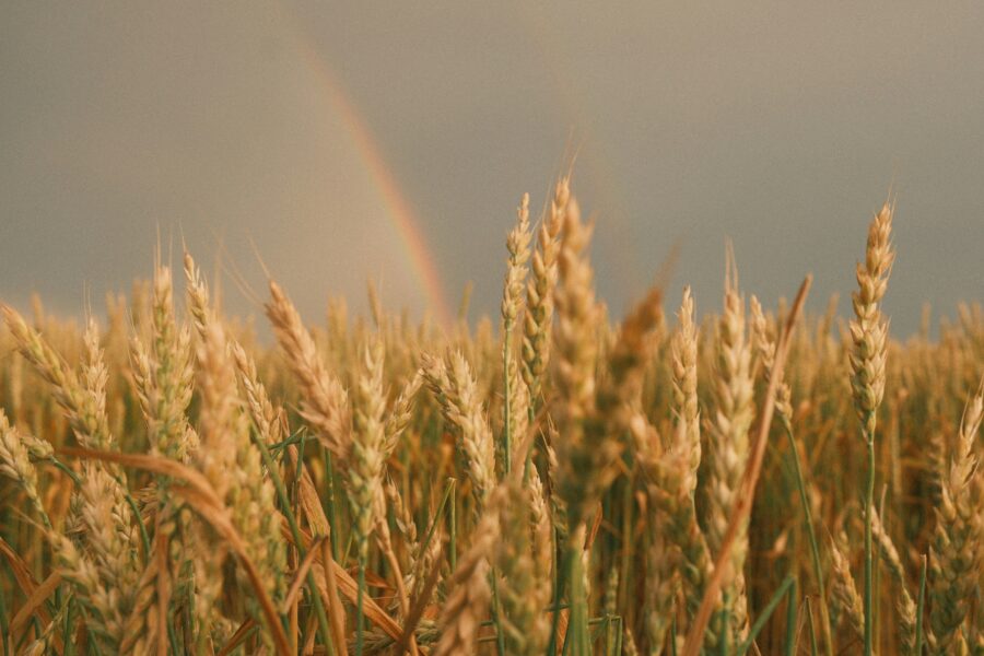 Sinoptiķi ir pārskatījuši ilgtermiņa prognozi vasarai: “Redzam to, ka vasara var pienākt jau maijā”