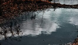 Igauņu sinoptiķis Arvo Saidla apbēdinājis arī Latvijas iedzīvotājus par marta laikapstākļiem: “Nesapriecājieties par ātri”