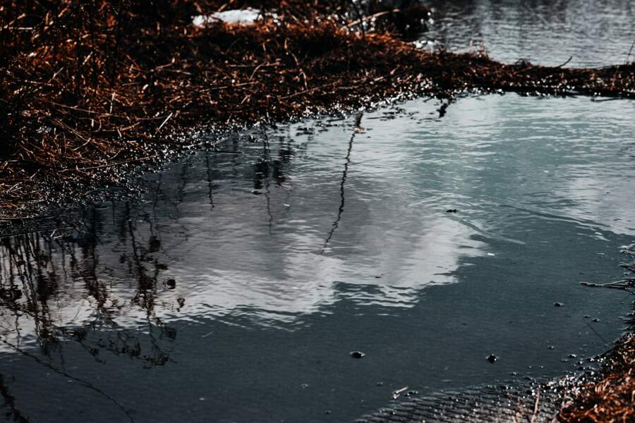 Igauņu sinoptiķis Arvo Saidla apbēdinājis arī Latvijas iedzīvotājus par marta laikapstākļiem: “Nesapriecājieties par ātri”