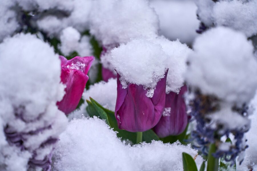 Sagatavojieties sliktākajam scenārijam pavasarī: Latvijas sinoptiķi atklāj kāda bīstamu daba parādība ir mums priekšā