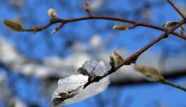 “Ziema vēl negrasās padoties”: zināms datums, kad bargo salu beidzot nomainīs atkusnis un siltums