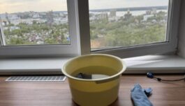 Kā pareizi mazgāt logus pirms Lieldienām: lielākā daļa to dara nepareizā laikā un veidā Kā pareizi mazgāt logus pirms Lieldienām: lielākā daļa to dara nepareizā laikā un veidā