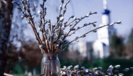 Pūpolu svētdiena un nedēļa pirms Lieldienām: ko drīkst un ko kategoriski aizliegts darīt