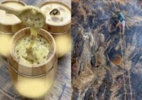 Senais medus nemaz nebija tāds kā šodien: kāda ir galvenā atšķirība un ko mēs esam zaudējuši