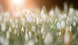 20. martā sākas astroloģiskais Jaunais gads: ko mūsu dzīvēs mainīs jaudīgais 2026. gada pavasara saulgriežu punkts