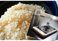 Mīts par rīsiem un ūdeni: kas patiesībā notiek ar viedtālruni, ja to atstāj rīsu traukā uz nakti