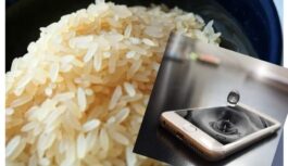 Mīts par rīsiem un ūdeni: kas patiesībā notiek ar viedtālruni, ja to atstāj rīsu traukā uz nakti