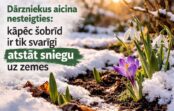 Dārzniekus aicina nesteigties: kāpēc šobrīd ir tik svarīgi atstāt sniegu uz zemes
