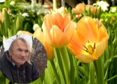 “Marts vēl nav īstais pavasaris” – dabas vērotājs Vilis Bukšs skaidro, ko gaidīt mēneša beigās