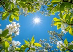 Sinoptiķi brīdina par krasām izmaiņām – gaidāma nedēļu ilga dabas kaprīze