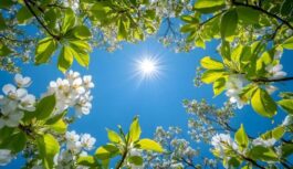 Sinoptiķi brīdina par krasām izmaiņām – gaidāma nedēļu ilga dabas kaprīze