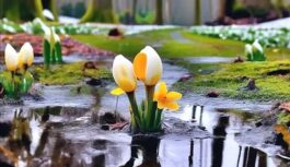 Astroloģiskā prognoze otrajam pavasara mēnesim: “No 9. aprīļa dzīves temps kļūs ievērojami straujāks”