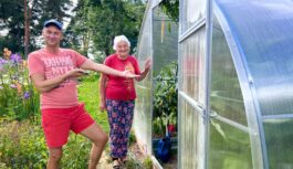 Uzstādījām omei jaunu siltumnīcu – raža 3 mēnešus vēlāk (rādu, kas bija izaudzis)