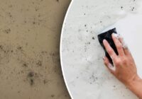 Melnais pelējums vairs nav problēma: vienkāršs risinājums, kas iedarbojas dažu minūšu laikā