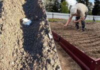 Ņemu plastmasas vāciņu un uztaisīju dobes marķieri, kas nenomazgājas: stādīšana aizņem 3 reizes mazāk laika