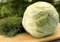 Gatavoju visu pavasari bez apstājas: kraukšķīgi kāpostu salāti bez majonēzes nieka 5 minūtēs