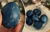 Par sīpolu mizām var aizmirst — jauns un negaidīts veids, kā nokrāsot olas Lieldienām