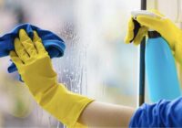 Logi mirdzēs līdz pat rudenim: viena vienkārša piedeva ūdenim, lai aizmirstu par svītrām un putekļiem