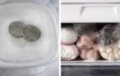Kāpēc, dodoties prom no mājām, ir vērts ielikt monētu saldētavā: vienkāršs veids, kā pārbaudīt produktus