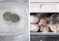Kāpēc, dodoties prom no mājām, ir vērts ielikt monētu saldētavā: vienkāršs veids, kā pārbaudīt produktus