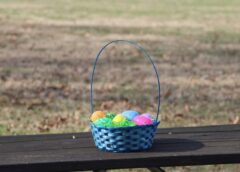 Pirmā lielā prognoze uz Lieldienu laiku: ko sagaidīsim uz vai cīruļputenis ies mums garām