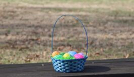 Pirmā lielā prognoze uz Lieldienu laiku: ko sagaidīsim uz vai cīruļputenis ies mums garām