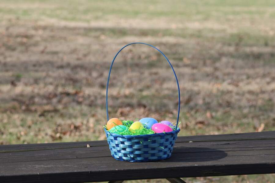 Pirmā lielā prognoze uz Lieldienu laiku: ko sagaidīsim uz vai cīruļputenis ies mums garām