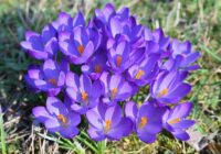 “Strauji sāk veidoties aktīvs ciklons”: meteorologi atklāj ko sagaidīsim sākot no 17.marta