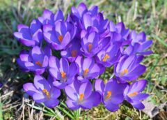 “Strauji sāk veidoties aktīvs ciklons”: meteorologi atklāj ko sagaidīsim sākot no 17.marta