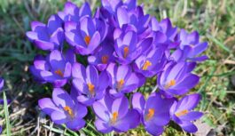 “Strauji sāk veidoties aktīvs ciklons”: meteorologi atklāj ko sagaidīsim sākot no 17.marta “Strauji sāk veidoties aktīvs ciklons”: meteorologi atklāj ko sagaidīsim sākot no 17.marta